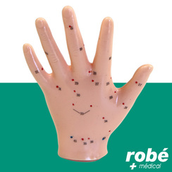 Modèle main avec points acupuncture - 13cm