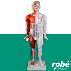 Modèle anatomique et acupuncture masculin - 84 cm