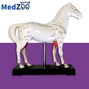 Modle anatomique de cheval sur socle - Medzoo - Points d'acupuncture et coupe anatomique