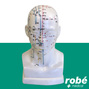 Modele tête avec canaux et points acupuncture - 20 cm