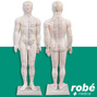 Modele d'acupuncture corps masculin - 50 cm