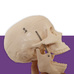 Crâne humain - Taille réelle - 22 parties. 