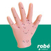 Modèle main avec points acupuncture - 13cm