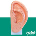 Modèle d'oreille avec points acupuncture - 22cm